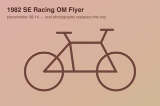 1982 SE Racing OM Flyer — photo 6