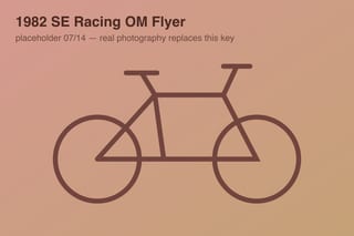 1982 SE Racing OM Flyer — photo 7