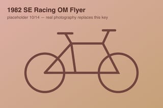 1982 SE Racing OM Flyer — photo 10