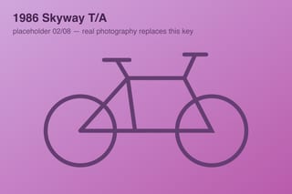 1986 Skyway T/A — photo 2