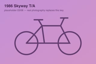 1986 Skyway T/A — photo 3