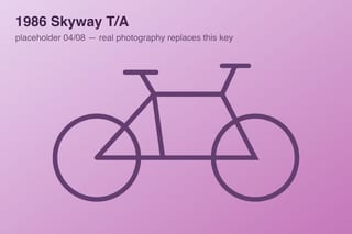 1986 Skyway T/A — photo 4