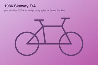 1986 Skyway T/A — photo 5