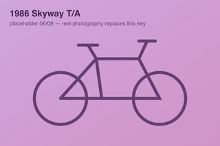 1986 Skyway T/A — photo 6