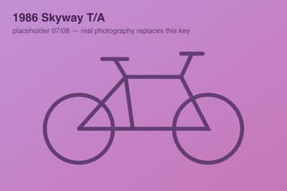 1986 Skyway T/A — photo 7