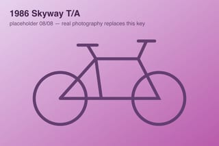 1986 Skyway T/A — photo 8