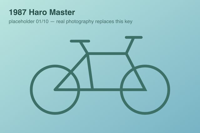 1987 Haro Master