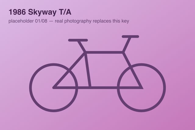 1986 Skyway T/A